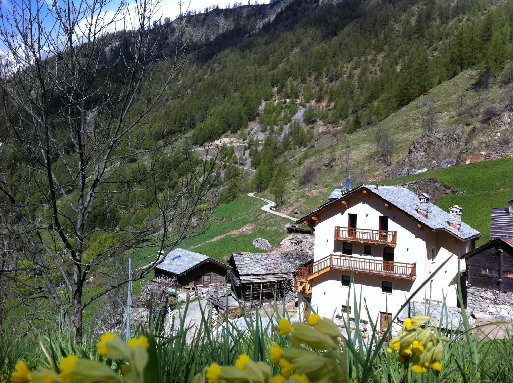 Alpe Rebelle