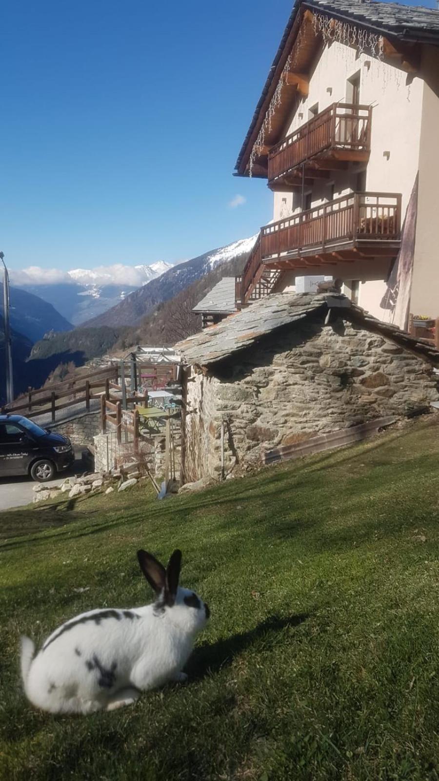 Alpe Rebelle Bed and breakfast