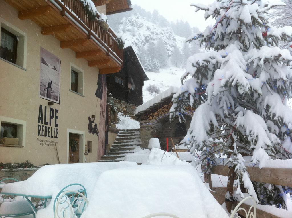 Alpe Rebelle 3*