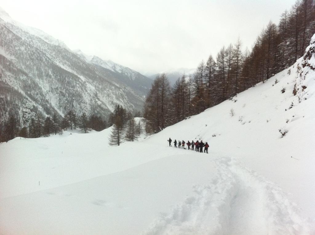 Bed & Breakfast Alpe Rebelle 3*