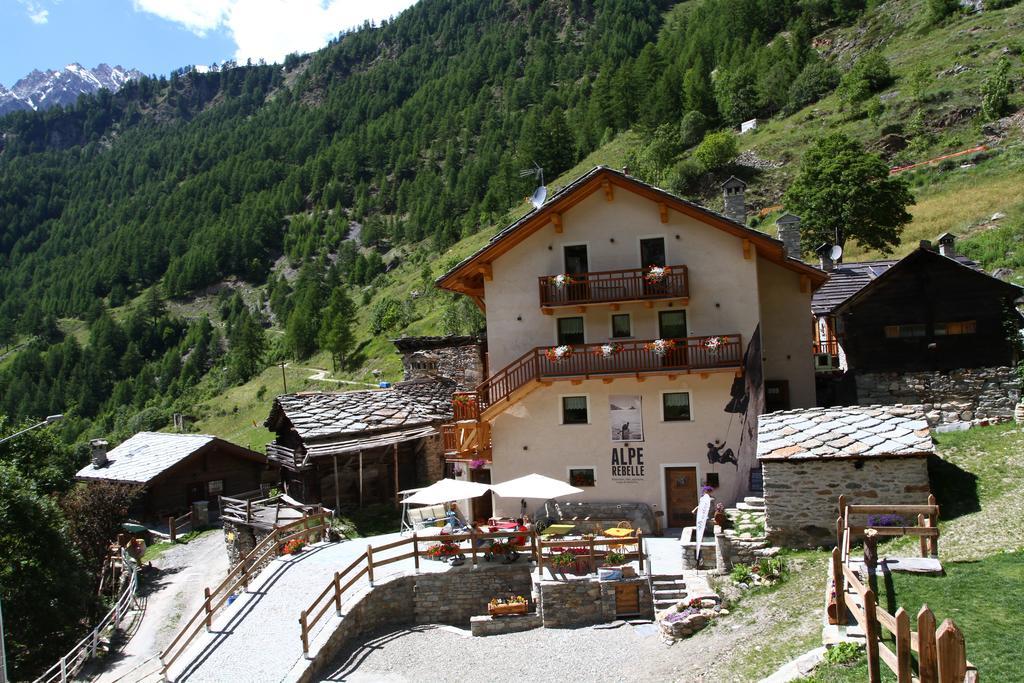 Alpe Rebelle 3*